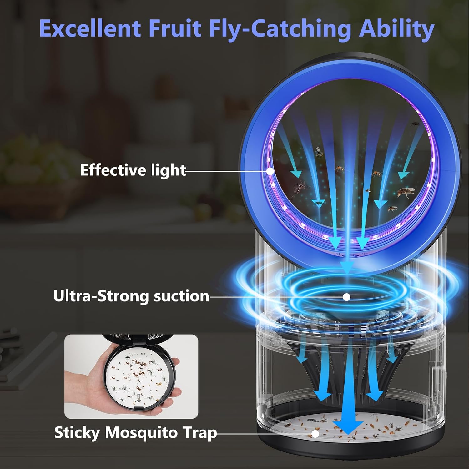 Fruit Fly Traps for Indoors, Fly Trap Indoor, Indoor Bug Zapper, Gnat Traps for House Indoor with Suction, Time Setting, 10 Pcs Sticky Glue Boards (Blue)