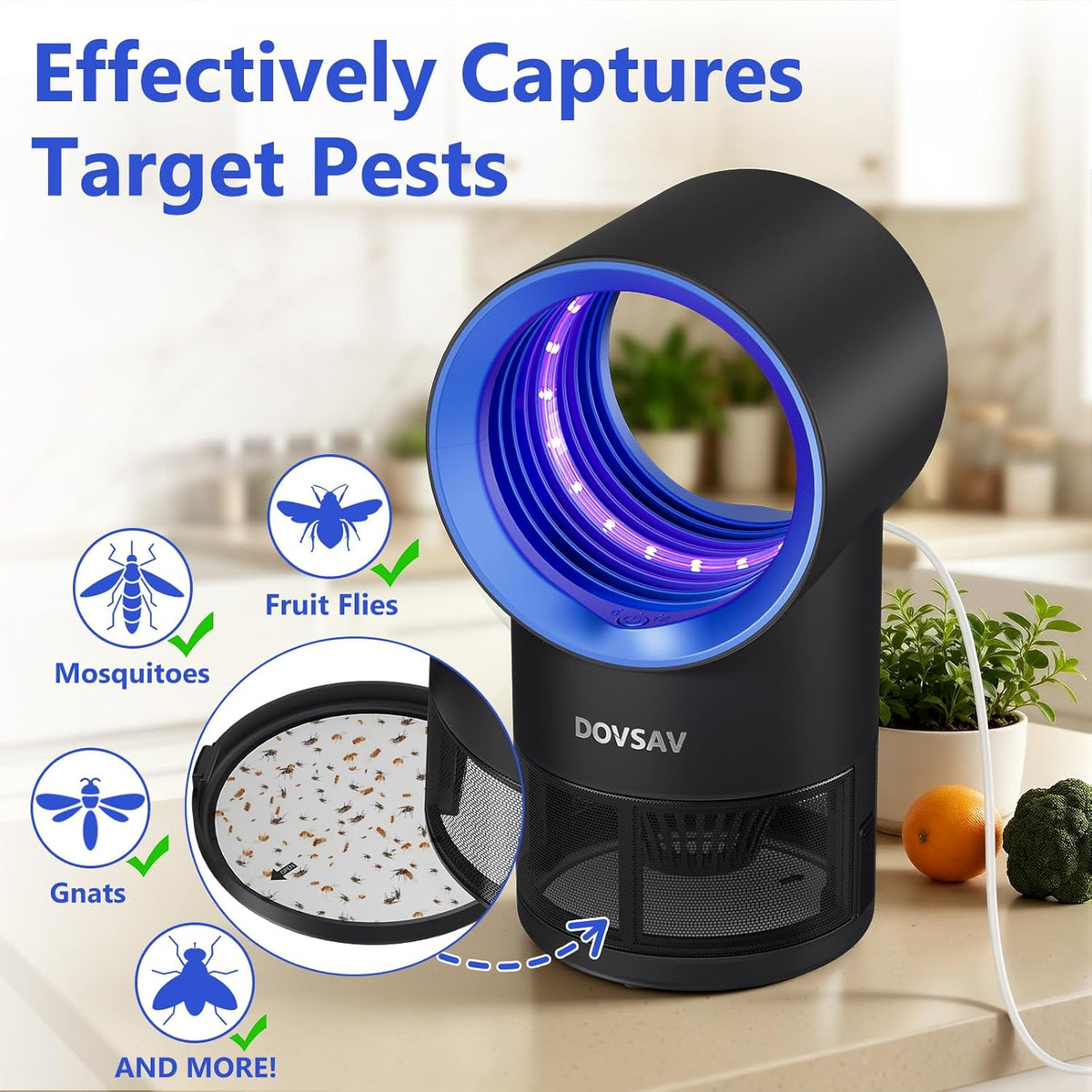 Fruit Fly Traps for Indoors, Fly Trap Indoor, Indoor Bug Zapper, Gnat Traps for House Indoor with Suction, Time Setting, 10 Pcs Sticky Glue Boards (Blue)