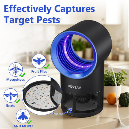 Fruit Fly Traps for Indoors, Fly Trap Indoor, Indoor Bug Zapper, Gnat Traps for House Indoor with Suction, Time Setting, 10 Pcs Sticky Glue Boards (Blue)